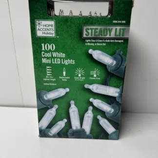 Home Accents 100 Cool White